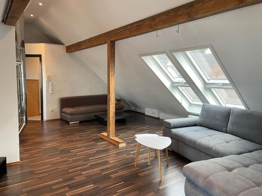Maisonette Apartment Family & Business Naehe Heidelberg I Kueche I 6 Schlafplaetze Sinsheim Extérieur photo