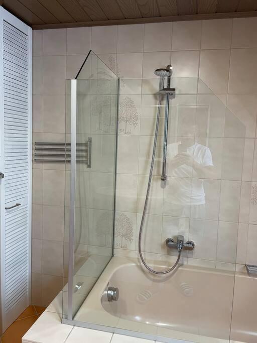 Maisonette Apartment Family & Business Naehe Heidelberg I Kueche I 6 Schlafplaetze Sinsheim Extérieur photo